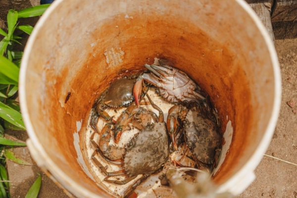 Fishing and Crab Cooking Experience. - Image 3