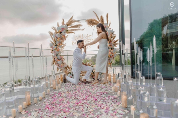 Dreamland Proposal